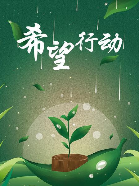 一场跨越大洋的修复手术：人贩子手中劫后余生的“欧可伊”