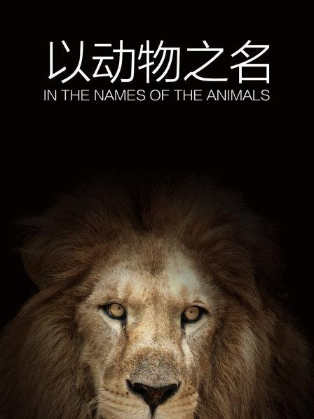 我们应该对所有生物表现出尊重、欣赏和同情