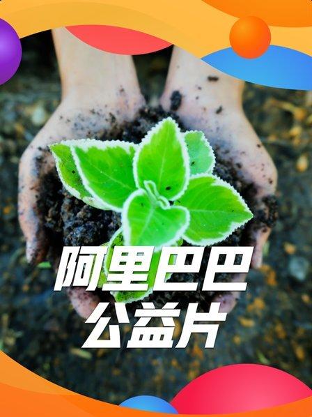 阿里巴巴公益之平武蜂蜜