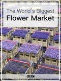 世界上最大的鲜花市场