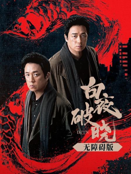 白夜破晓 无障碍版