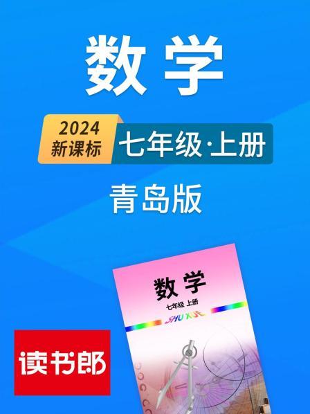 有理数、正数和负数
