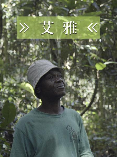 “ 森林科学家”为谋取私利参与盗猎 “艾雅”将何去何从？