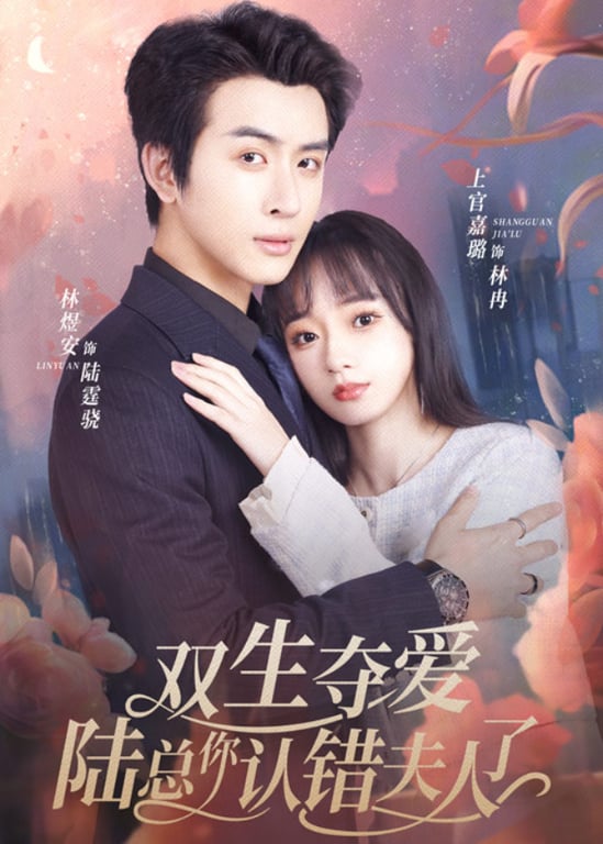 双生夺爱陆总你认错夫人了