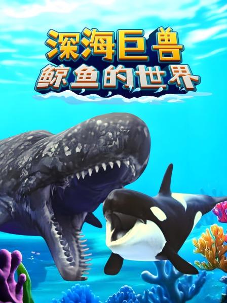 深海巨兽 鲸鱼的世界