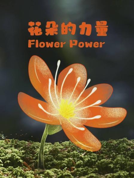 花朵的力量
