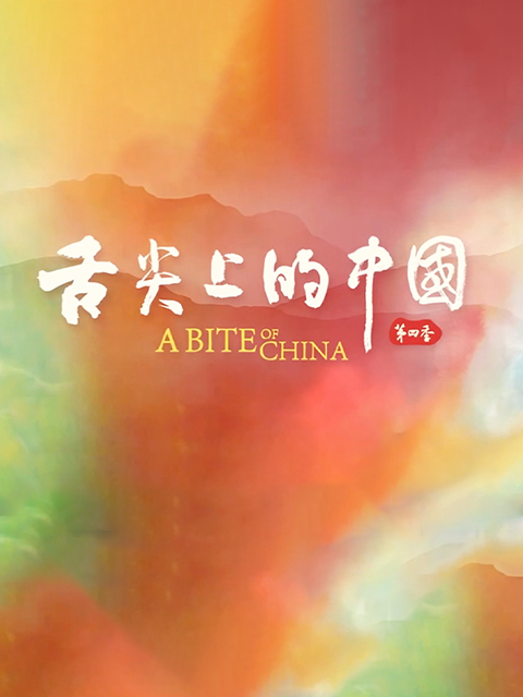 舌尖上的中国4