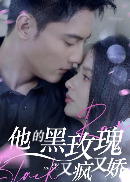 他的黑玫瑰又疯又娇