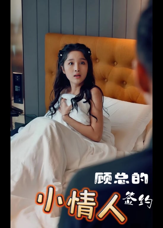 顾总的签约小情人