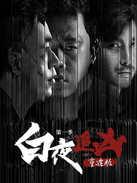 《白夜追凶 第一季》重逢版