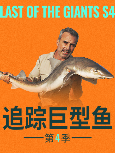 追踪巨型鱼 第四季