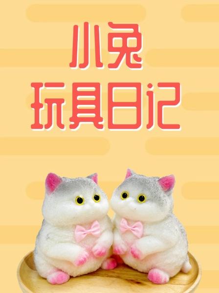 小兔玩具日记