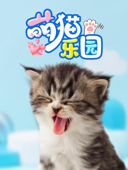 萌猫乐园