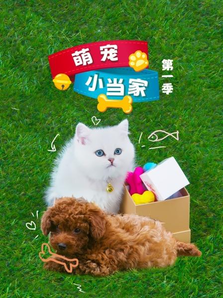 萌宠小当家 第一季
