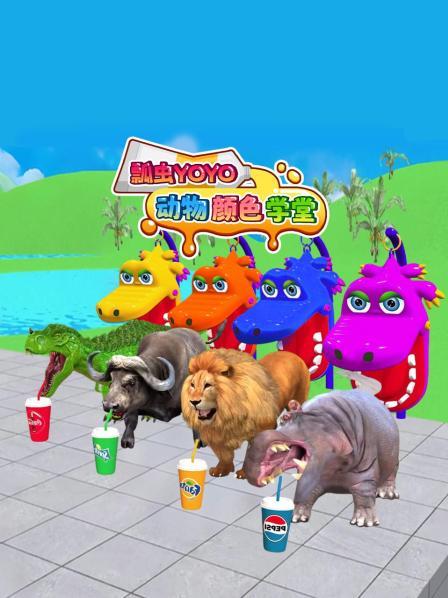 瓢虫YoYo动物颜色学堂