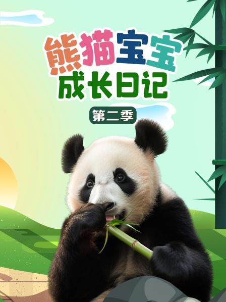 熊猫宝宝成长日记 第二季