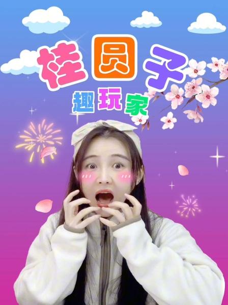 桂圆子趣玩家
