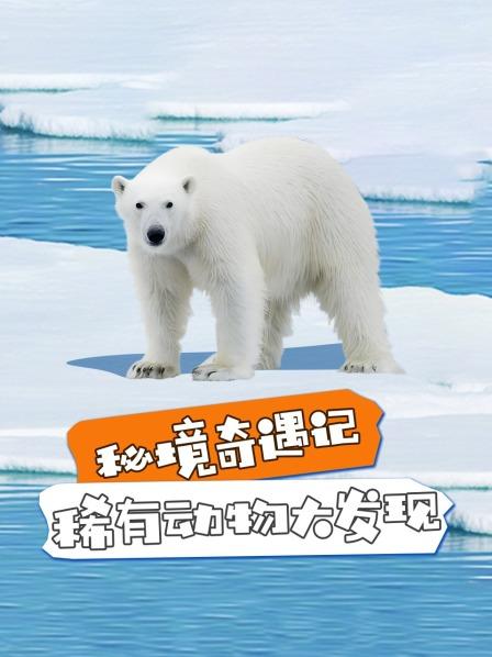 秘境奇遇记：稀有动物大发现