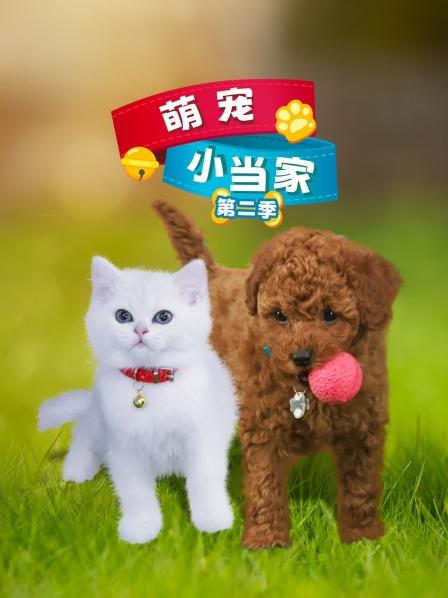 萌宠小当家 第二季