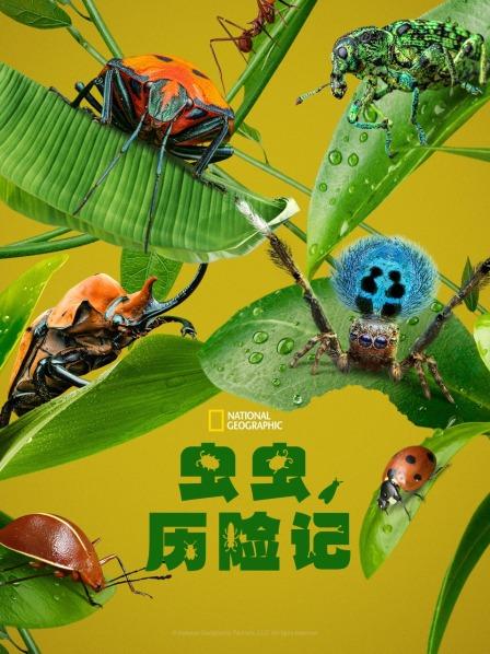 虫虫历险记