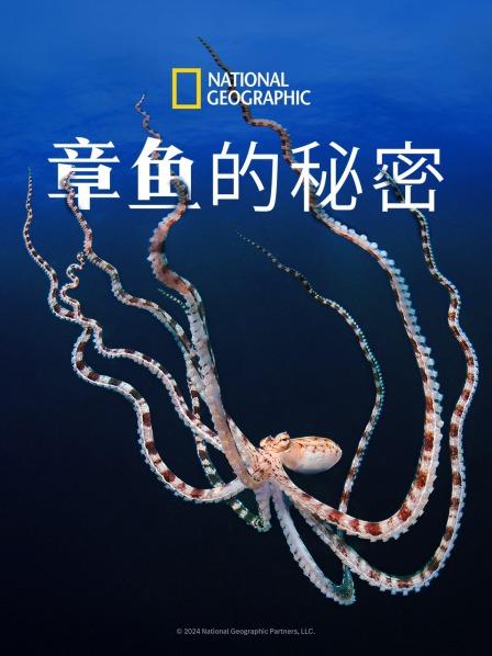 章鱼的秘密