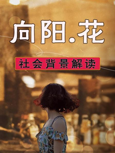 《向阳花》社会背景解读