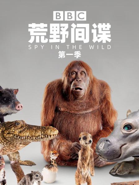 荒野间谍 第一季