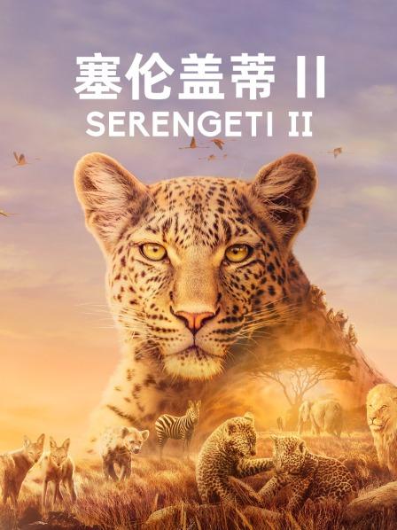 塞伦盖蒂 第二季