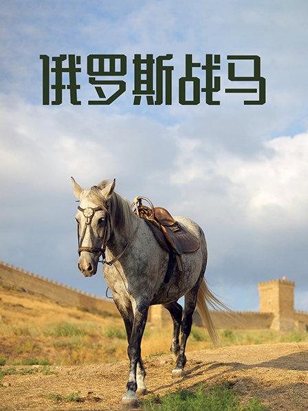 俄罗斯战马