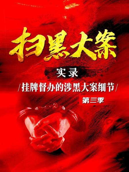 扫黑大案实录：挂牌督办的涉黑大案细节 第三季