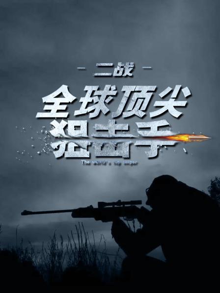 二战全球顶尖狙击手