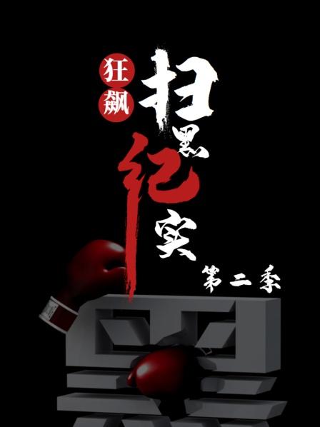 狂飙-扫黑纪实 第二季