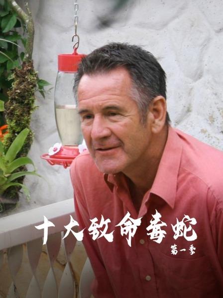 十大致命毒蛇 第一季