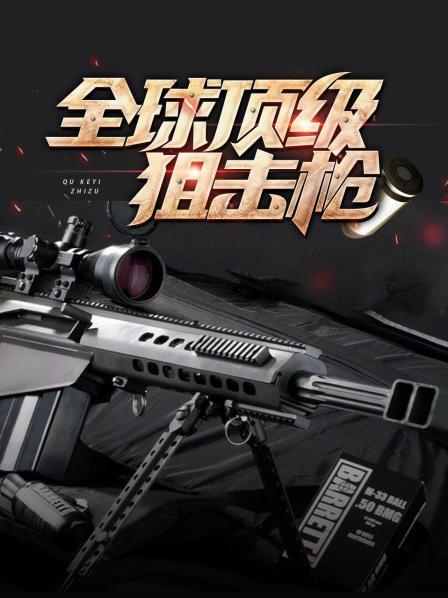 全球顶级狙击枪