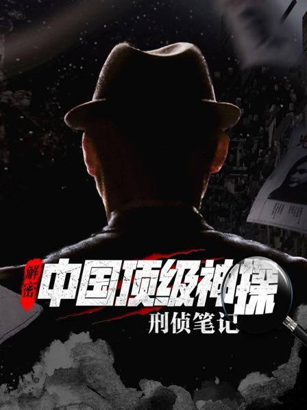 解密中国顶级神探刑侦笔记