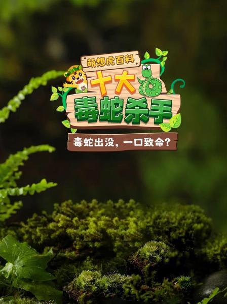 萌想虎百科：十大毒蛇杀手