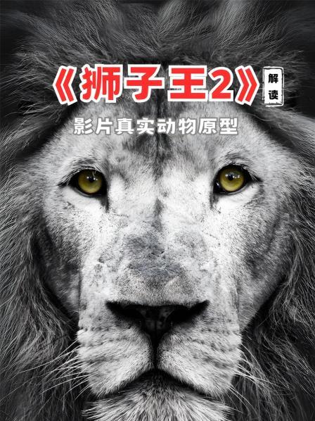 《狮子王2》解读影片真实动物原型