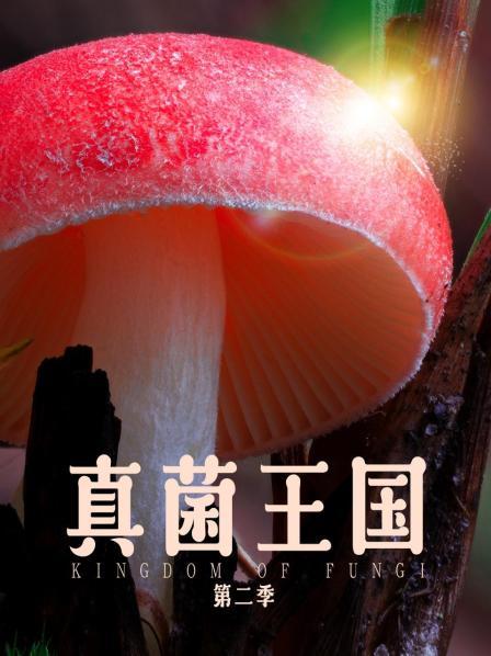 真菌王国 第二季
