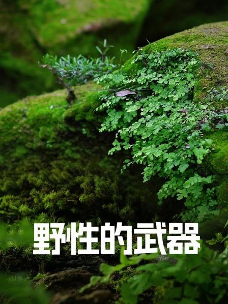 野性的武器