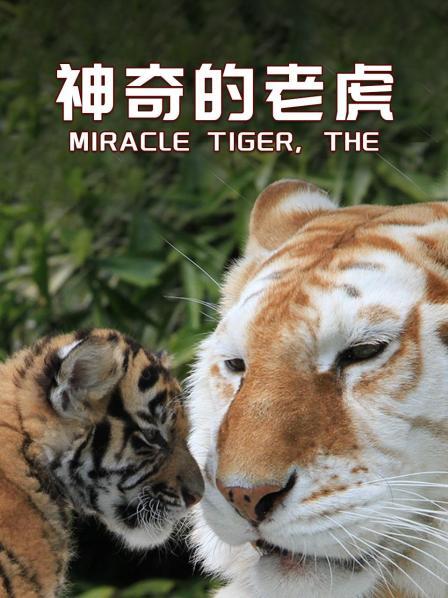 神奇的老虎