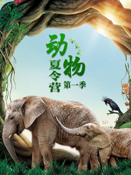 动物夏令营 第一季