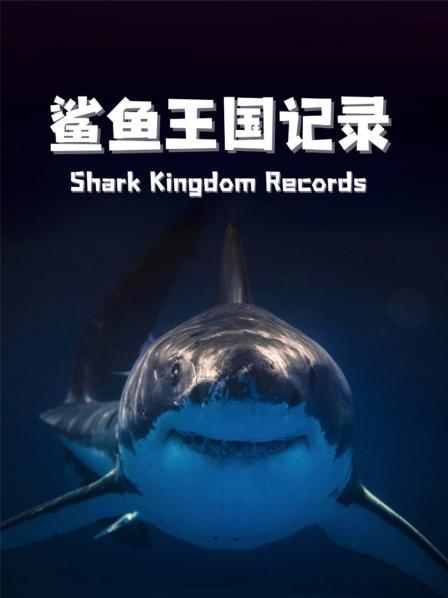 鲨鱼王国记录