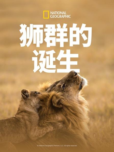 狮群的诞生