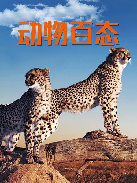 动物百态