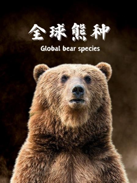 全球熊种