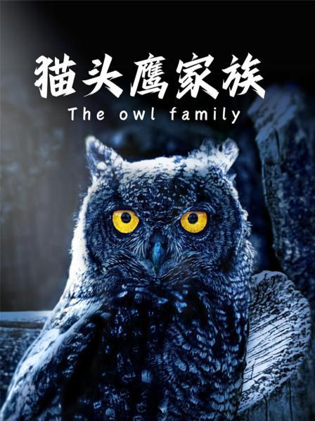 猫头鹰家族