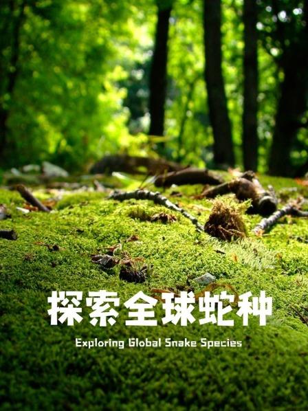 探索全球蛇种