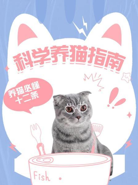 科学养猫指南—养猫必懂十二条