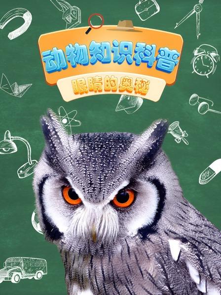 动物知识科普 眼睛的奥秘