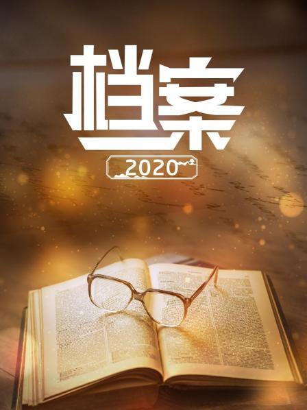 档案 2020